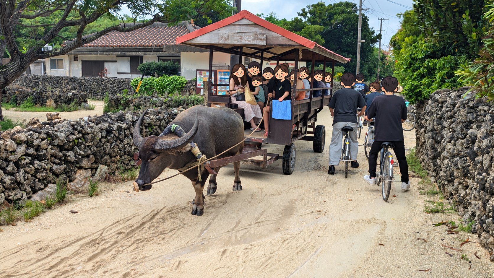 竹富島の集落を走る水牛車